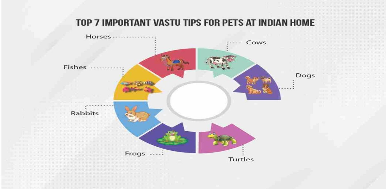 Pets and Vastu - Can Pets Increase Luck as per Vastu?